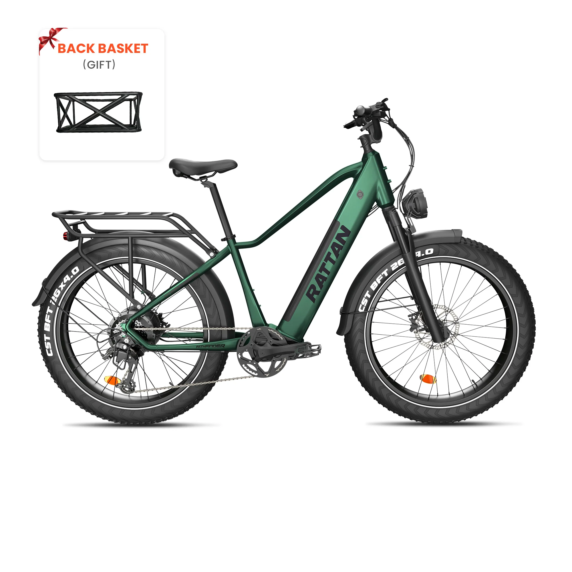 Rattan Pathfinder (US) - Image 24