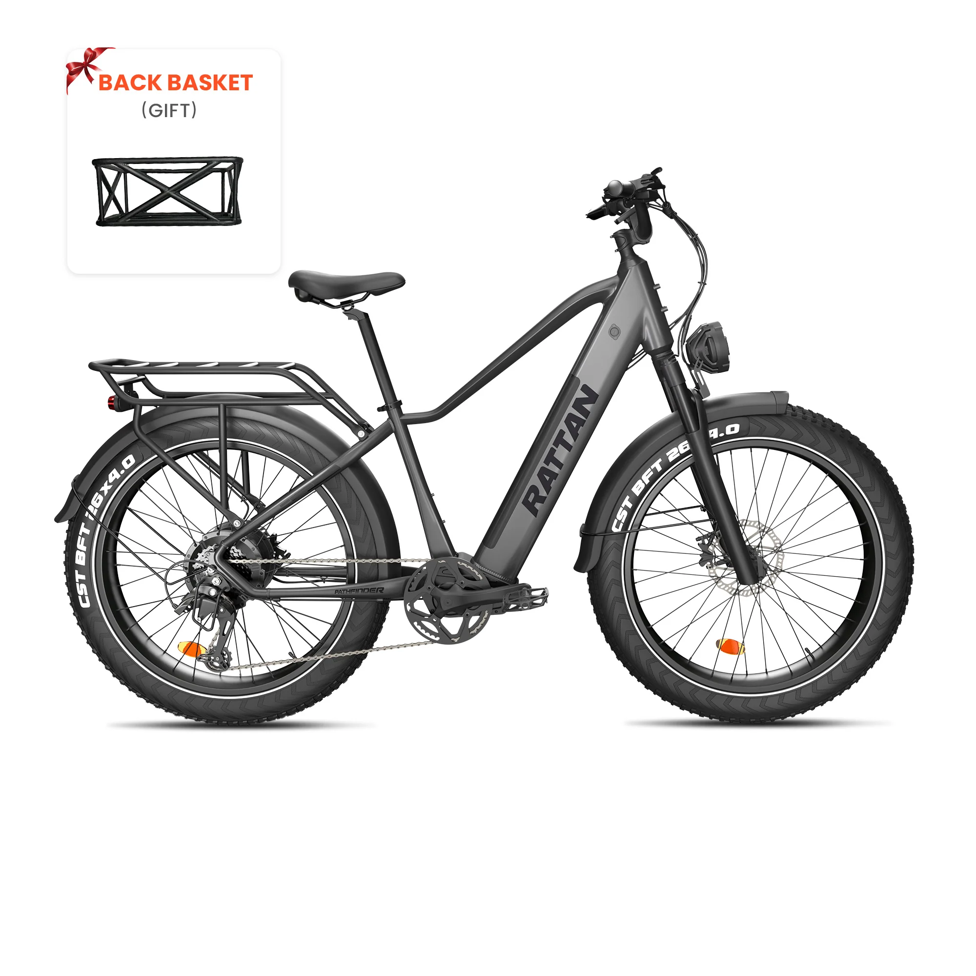 Rattan Pathfinder (US) - Image 25